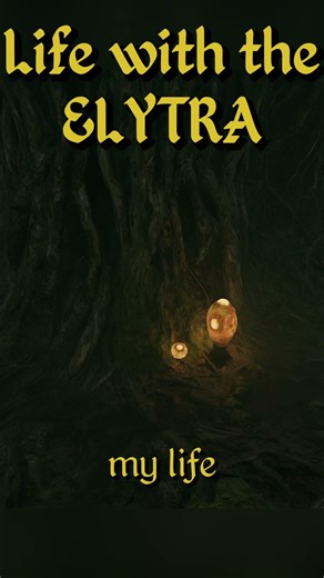 Life with the ELYTRA #elderscrolls #lore