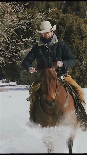 Black Bear Brand... denim!