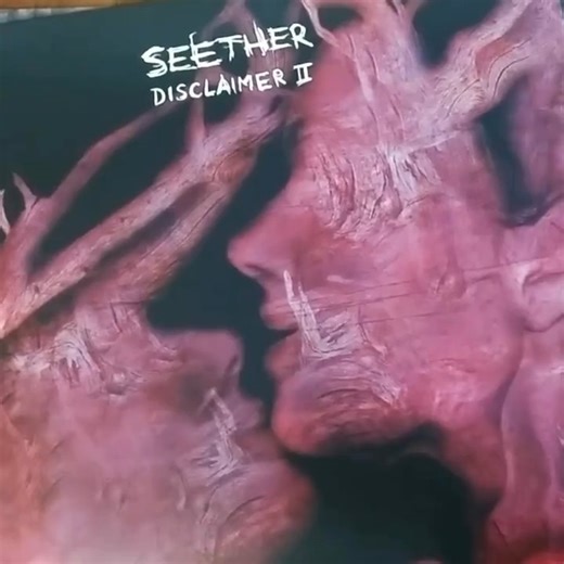46K views · 1.9K reactions | ‘Disclaimer II’ Certified Platinum on this day. What’s you II-nd favorite song off the album? : sarah_macabre | Seether | Facebook