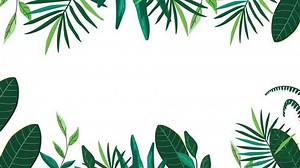 Leaf Green Vector Motion Frame On Stock Footage Video (100% Royalty-free) 1029022106 | Shutterstock
