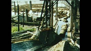 1950s: Bull chain pulls logs up ramp from river. Boom man guides logs to ramp. Jets of water strip bark from logs.