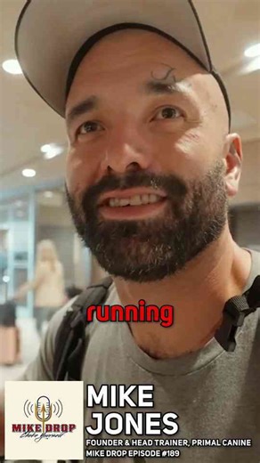 From chaos to control - what a primal canine trainer really does all day