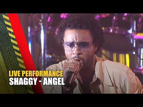 Shaggy - Angel | Live at TMF Awards | The Music Factory