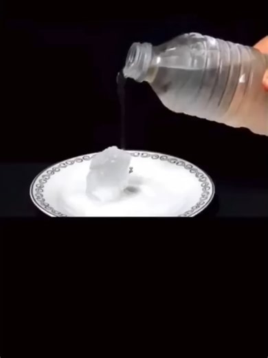 Videos de Nacheto (@elnachetoo99) con “sonido original - Nacheto”