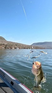 26K views · 436 reactions | There are countless rigs on the market,...