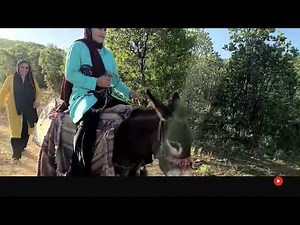 Funniest Donkey Ride Moments Ever!