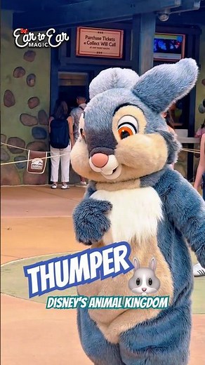 Rare Thumper Appearance at #Disney for Earth Day