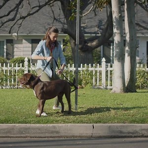 432 reactions · 22 shares | You are your pet’s armor. PetArmor Plus is your partner for affordable at-home pet care. #YouAreYourPetsArmor | PetArmor | Facebook