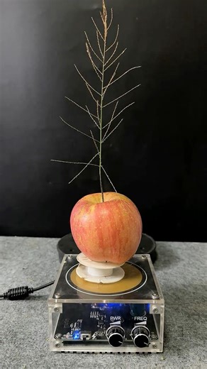 Tesla coil + Apple + Plants