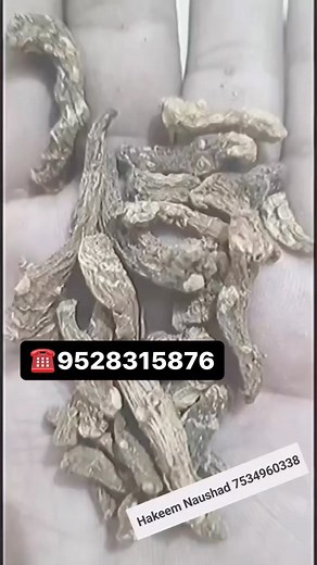 6.2K views · 43 reactions | @bodybuilding #fitness #gym #workout #fitnessmotivation #motivation #fit #muscle #training #gymmotivation #fitnessmodel #lifestyle #bodybuilder #health #healthy #healthylifestyle #instafit #exercise #sport #hindihealthtips #healthyindian #healthyindiandiet #healthyindia #ayurveda | Hakim Ji Hurbel | Facebook