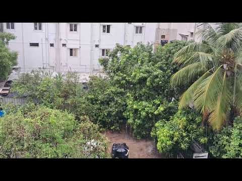 Sudden Rain in Hyderabad 🌧️ Real Reason (Mango Showers!)
