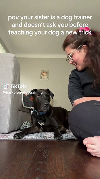 How to Teach a Dog to Bark on Command (Easy Trick)