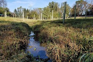 Roadside Guide to Clean Water: Riparian Buffers