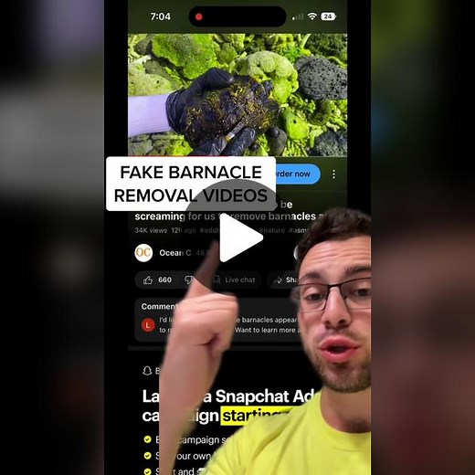 Stop Fake Turtle Rescue Videos - Animal Abuse Exposed
