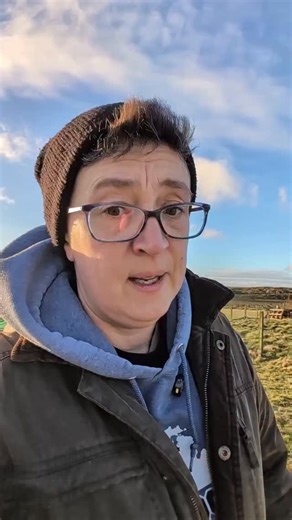 This is the sheep equivalent of the odds and ends drawer. 🤣 #farming #sheep #farmlife #Scotland | Tiree Tea