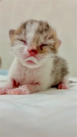 He is fighting every minute in intensive care. Please share and help us keep his treatment going.
