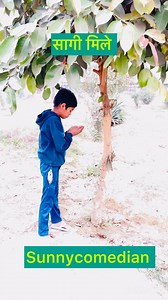 #comedy #newcomedy2024 #jokesreels #sunny #joke #reelinstragram #sunnydeolstyle | Sunny Comedian