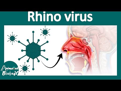 Rhino virus | viral Rhinitis | Rhino virus infection | common cold | treatment