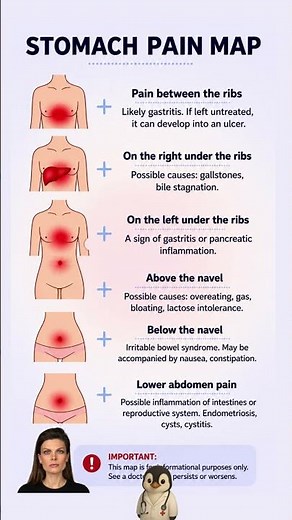 🩺 Stomach Pain Map 📍 What Your Pain Location Might Mean
