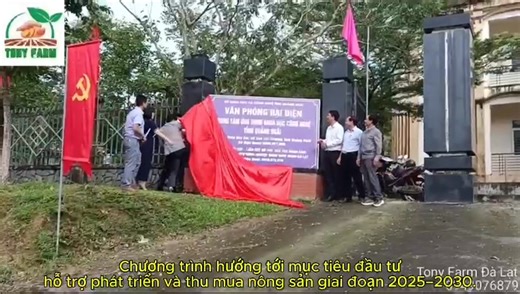 Luosi Trân on Reels