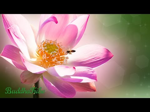 1 HORA de Ondas Delta | Canciones para Dormir, Relajarse Profundamente y Tranquilizar la Mente