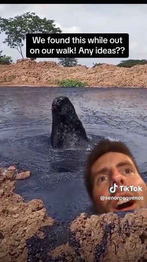 HEXXUS IN THE WILD #ferngully #comedy #timcurry #voices #singing #wtf #surprise #fyp #foryou #foryoupage