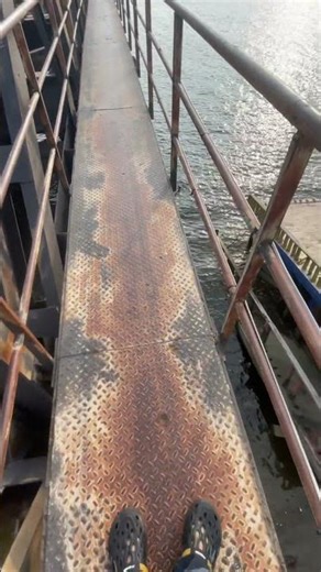 Nice sunset view🌅 #reels #viral #view