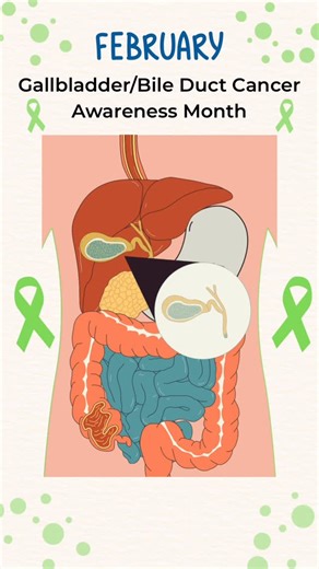 OncoLink | This February, take some time to learn about the subtle symptoms of gallbladder and bile duct cancer. Awareness is key! Learn more at... | Instagram