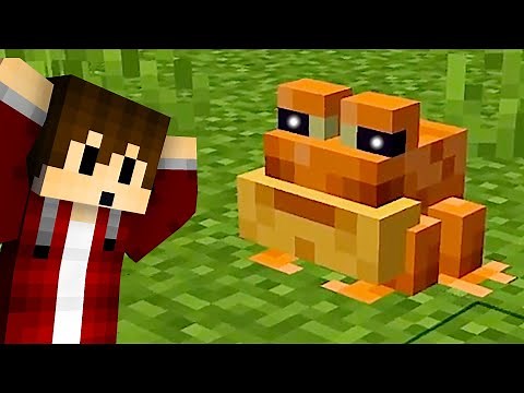 Der Frosch und seine Kaulquappen in Minecraft | LarsLP