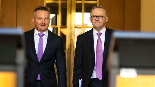 Labor desperately trying to resuscitate failing net zero agenda