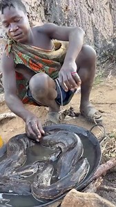 Dudukwe preparing big python meat to cook