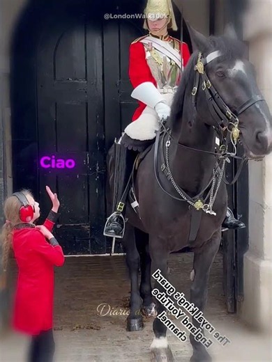 🐴❤️ A special dream in front of the Royal Guard