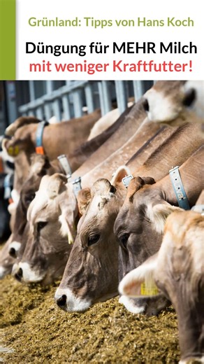 Grünland richtig düngen: Für mehr Milch mit weniger Kraftfutter pro kg Milch! #Grünlandprofi