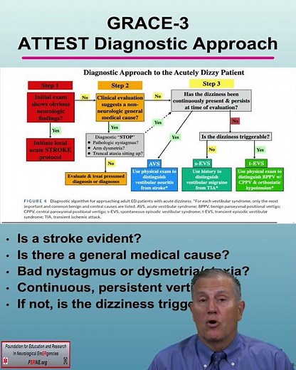 47 What are the ATTEST vertigo patient diagnostic algorithm questions in the GRACE 3 guidelines?