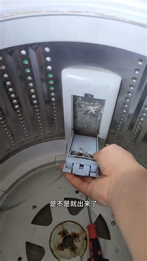 Easy DIY: How to Disassemble & Reassemble Your Washing Machine Filter