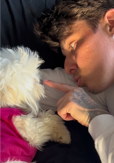 Lovee day - Gil 2 | gil