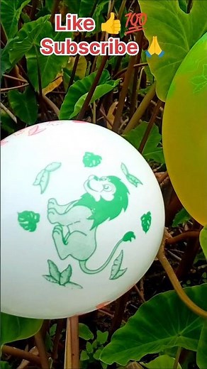 Cartoon Colour Ful Balloon Blowing & pop | #balloon #poppballons #asmr