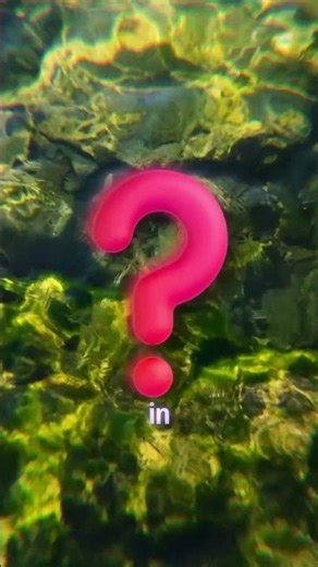 Vibrio volnificus, the Dangerous Ocean Bacteria 😯 #facts