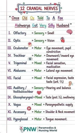 12 Cranial Nerves Mnemonic 🧠 | Learn in 30 Sec | Nursing Exam Revision #shorts #nursingshorts