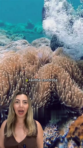 Beatriz Affonso on Instagram: "A verdade que muda tudo que você viu em Procurando Nemo!"