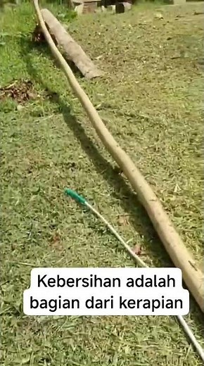 cleanliness is part of neatness