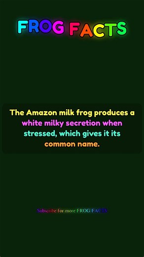 The Amazon milk frog produces a white milky... | Frog Facts