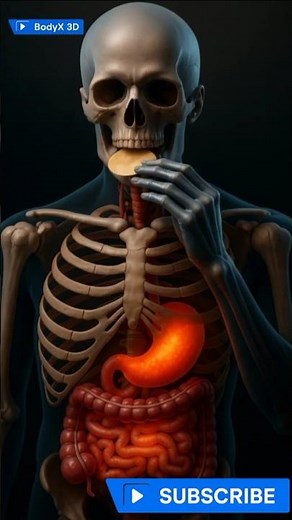 How Digestion Works | Human Digestive System Explained in 3D Animation | Educational Video"#viral