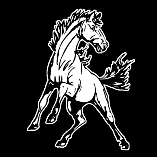 Basketball Recap: Harding Starts Season with Win on the Road