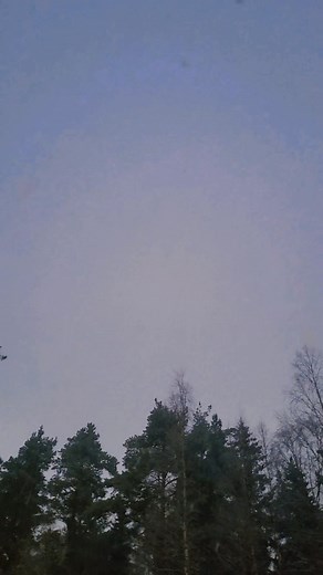 Ana , Elsa dahan-dahan lang ha, charrorrrts lang 😀. | Inday Karya Thai-Finnish