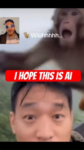 Helicopter ahh monkey