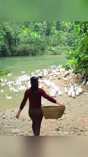 Bushcraft Techniques for Daily Life and Survival Skills