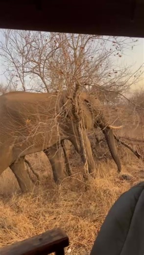 AVAILABLE DATES FOR MARCH AND APRIL 7,8 check out 9 march 9,10 Check out 11 march 11,12 check out 13 march 13,14 check out 15 march 16,17 check out 18 march 19,20 check out 21 march 23,24 check out 25 march 25,26 check out 28 march 1,2 check out 3 April 9,10 check out 11 April 13,14 check out 15 April 16,17 check out 18 April 21,22 check out 23 April 27,28 check out 29 April 29,30 check out 31 April R8900 that includes Breakfast and dinner daily, a picnic lunch at your unit, 2 x Kahuna Massages,