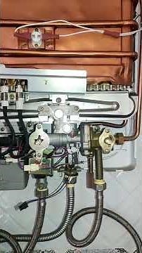 mi calentador no enciende que puedo revisar