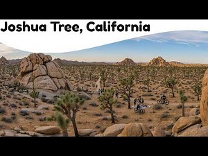 10 Best Things to Do in Joshua Tree | Desert Magic & Stargazing
